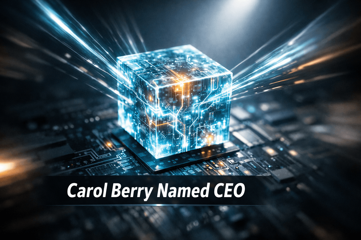 Gmj Technologies Appoints Carol Berry, Mba - Jun 9