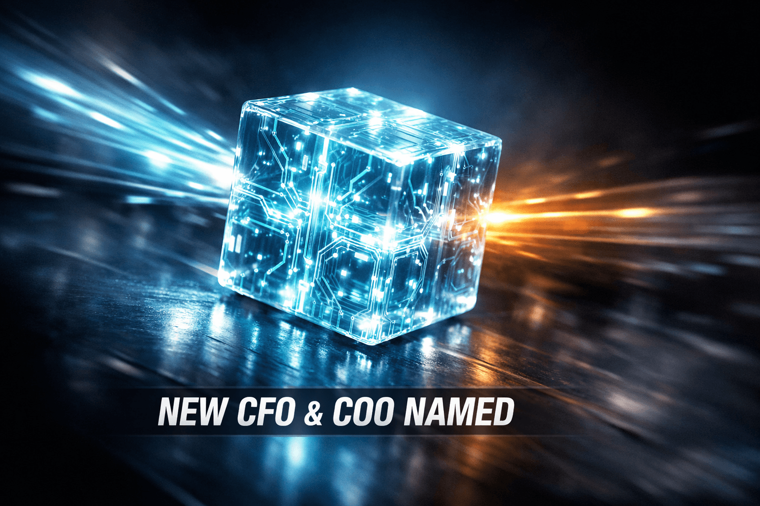 Jenny Darling Named Operations Officer Ad Council - Sep 10