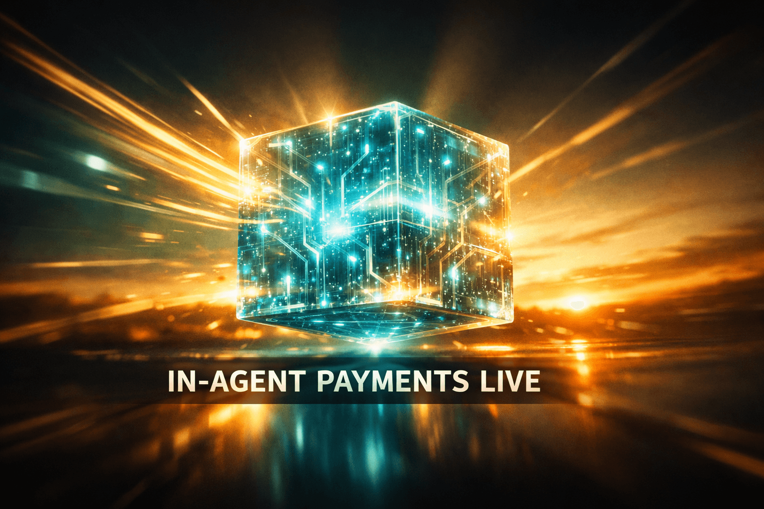 Nuvei First-Party in-Agent Payment With Visa - Jul 2
