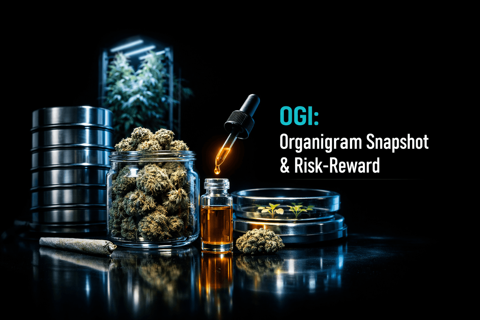 OGI: Organigram Snapshot and Risk-Reward